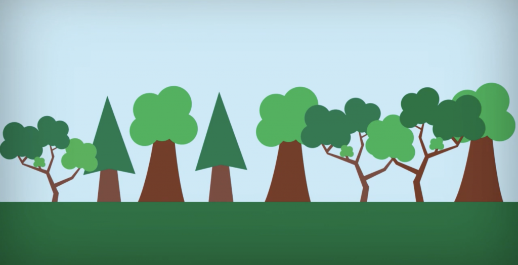 Introducing Ecological District Budget Transfer (TAKE) in Indonesia