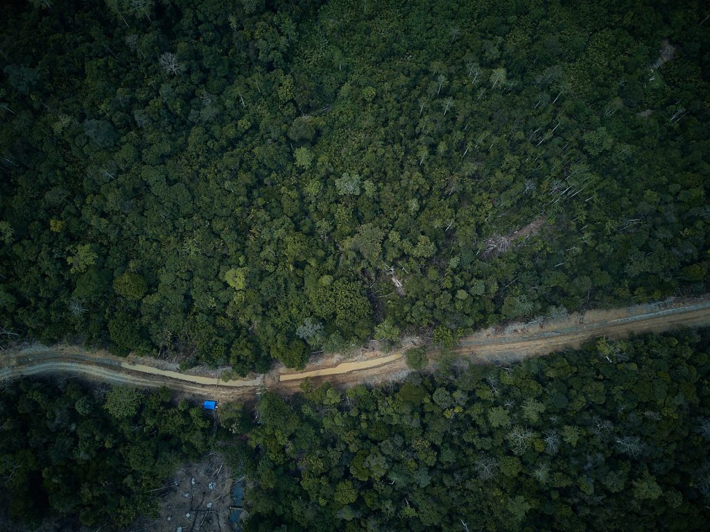 Private Sector Takes Action for Forest Protection in Aceh Tamiang