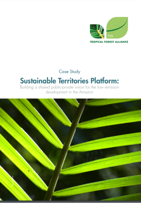 Sustainable Territories Platform: Building a Shared Public-Private Vision for the Low Emission Development in the Amazon