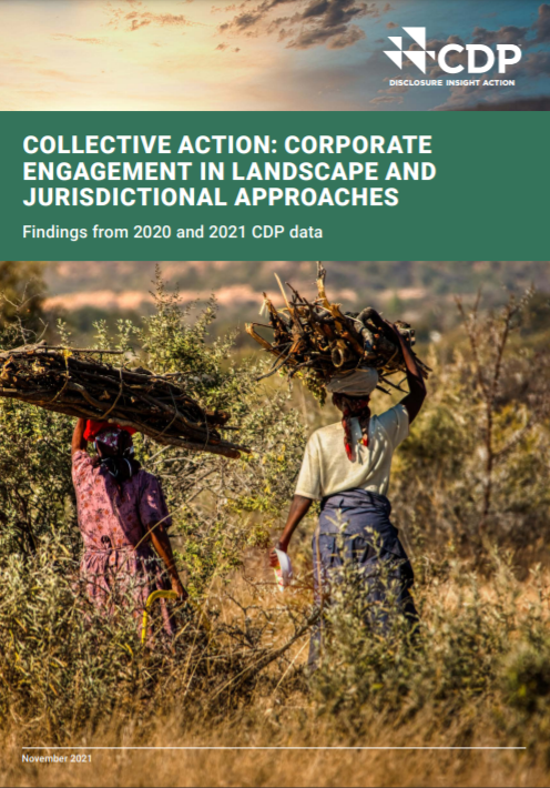 Collective Action: Corporate Engagement in Landscape and Jurisdictional Approaches, Findings from 2020 and 2021 CDP data