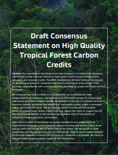 Draft Consensus Statement on High Quality Tropical Forest Carbon Credits