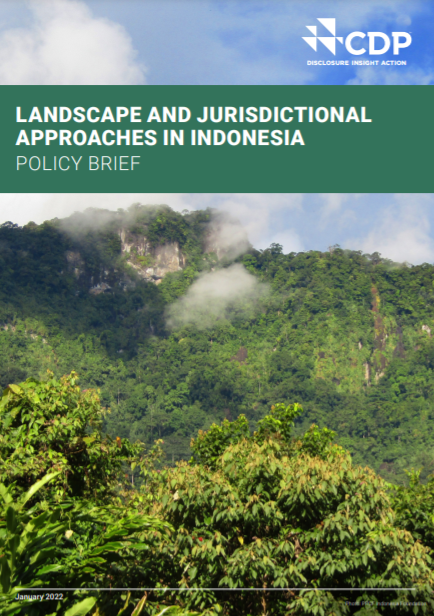 Landscape and Jurisdictional Approaches in Indonesia: Policy Brief