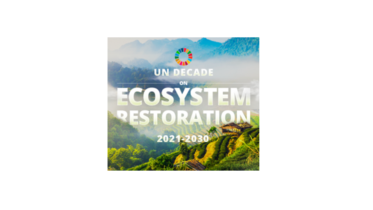 UN Decade of Ecosystem Restoration