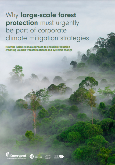 Why Large-Scale Forest Protection Must Urgently be Part of Corporate Climate Mitigation Strategies