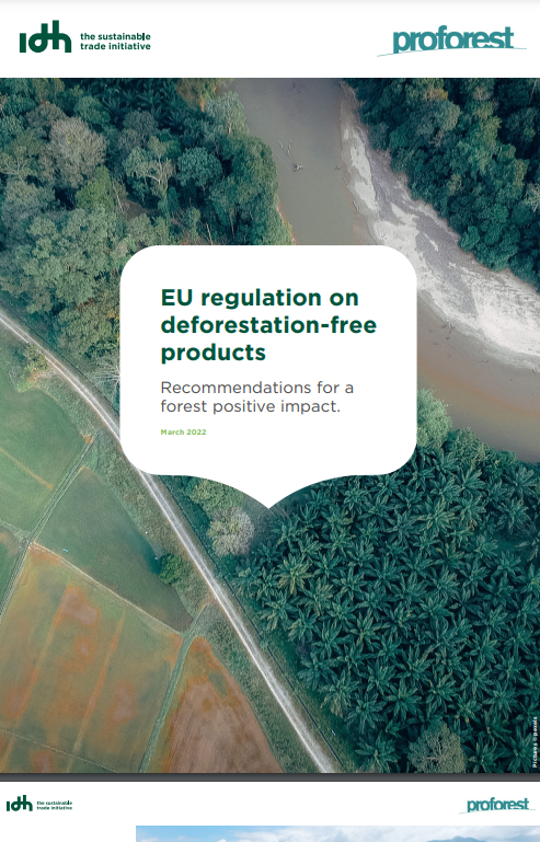 EU Regulation on Deforestation-free Products, Recommendations for a Forest Positive Impact