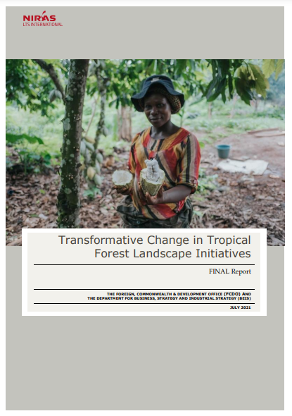 Transformative Change in Tropical Forest Landscape Initiatives