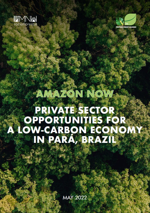 Amazon Now: Private Sector Opportunities for a Low-Carbon Economy in Pará, Brazil