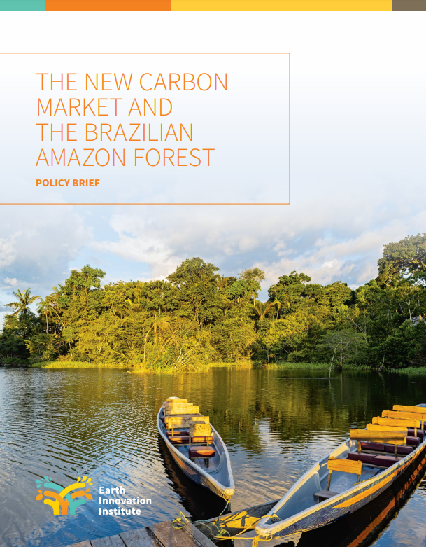 The New Carbon Market and the Brazilian Amazon Forest