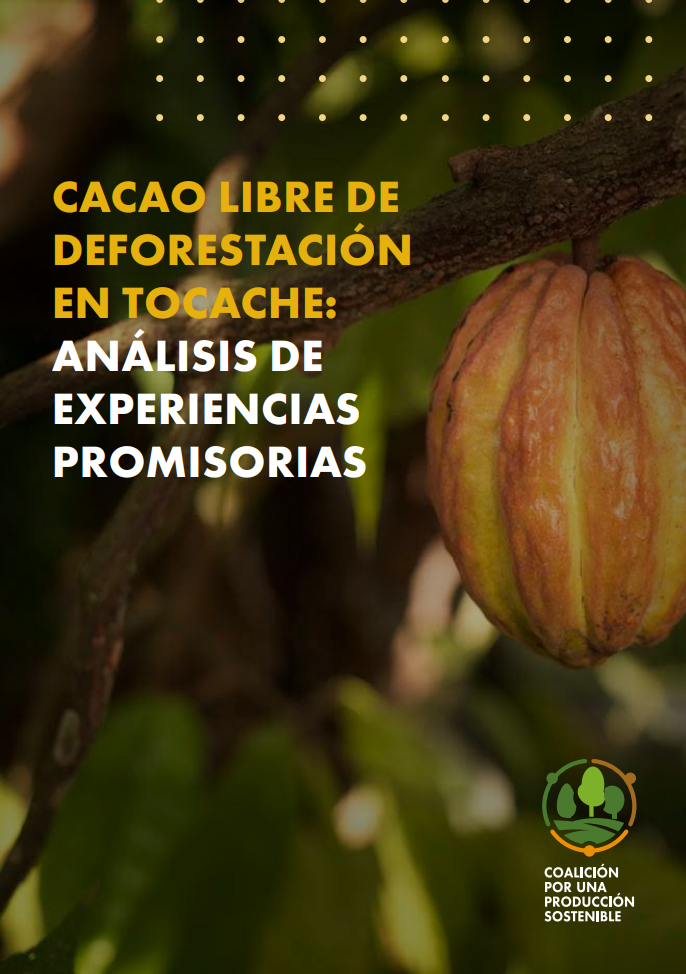 Cacao Libre de Deforestación en Tocache: Análisis de Experiencias Promisorias