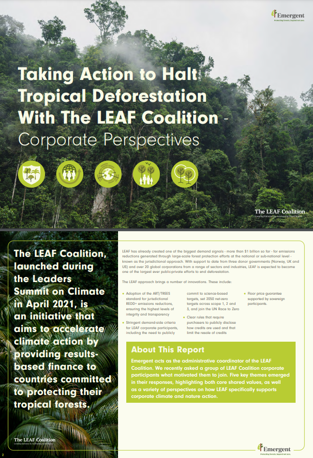 Taking Action to Halt Deforestation with the LEAF Coalition – Corporate Perspectives
