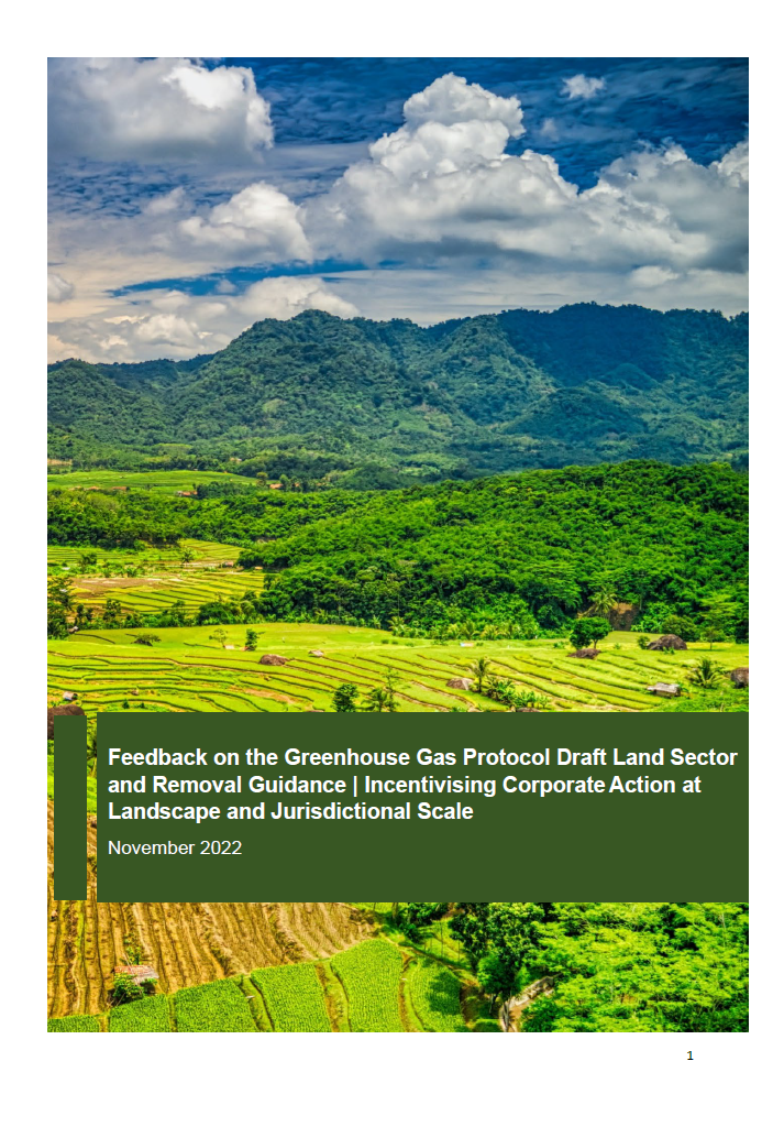Feedback on the Greenhouse Gas Protocol Draft Land Sector and Removal Guidance: Incentivising Corporate Action at Landscape and Jurisdictional Scale