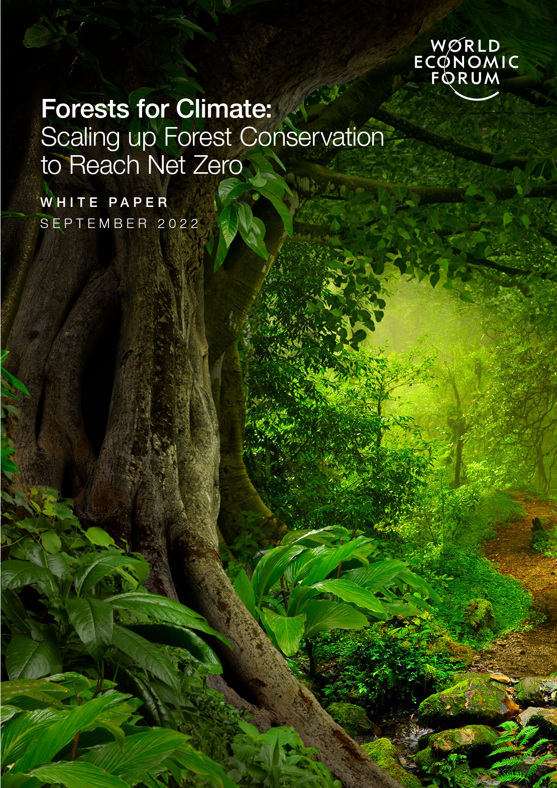 Forests for Climate: Scaling up Forest Conservation to Reach Net Zero