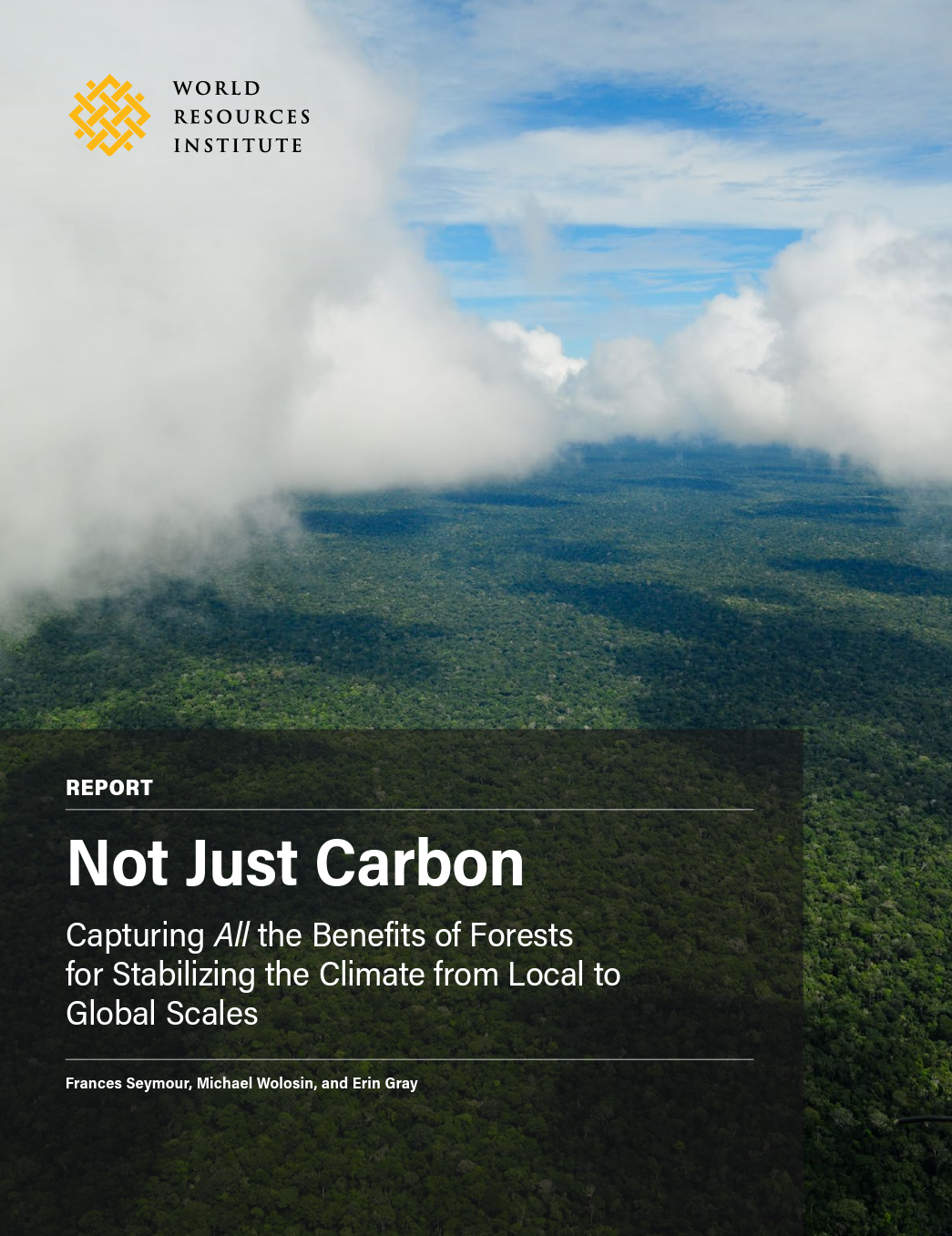 Not Just Carbon: Capturing All the Benefits of Forests for Stabilizing the Climate from Local to Global Scales