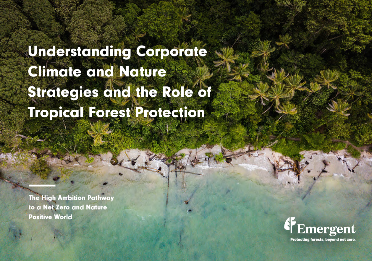 Understanding Corporate Climate and Nature Strategies and the Role of Tropical Forest Protection