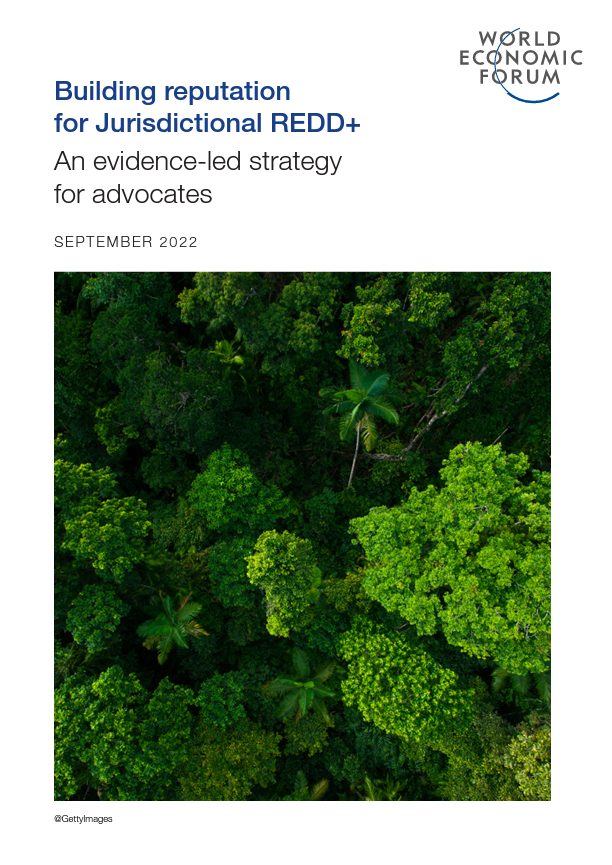 Building Reputation for Jurisdictional REDD+: An Evidence-Led Strategy for Advocates