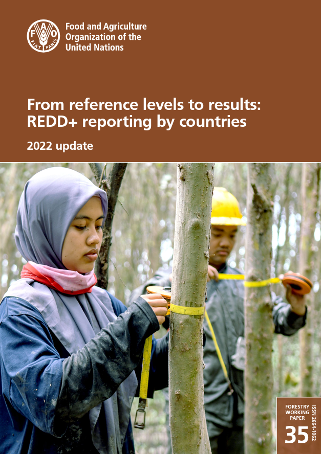 From Reference Levels to Results: REDD+ Reporting by Countries – 2022 Update