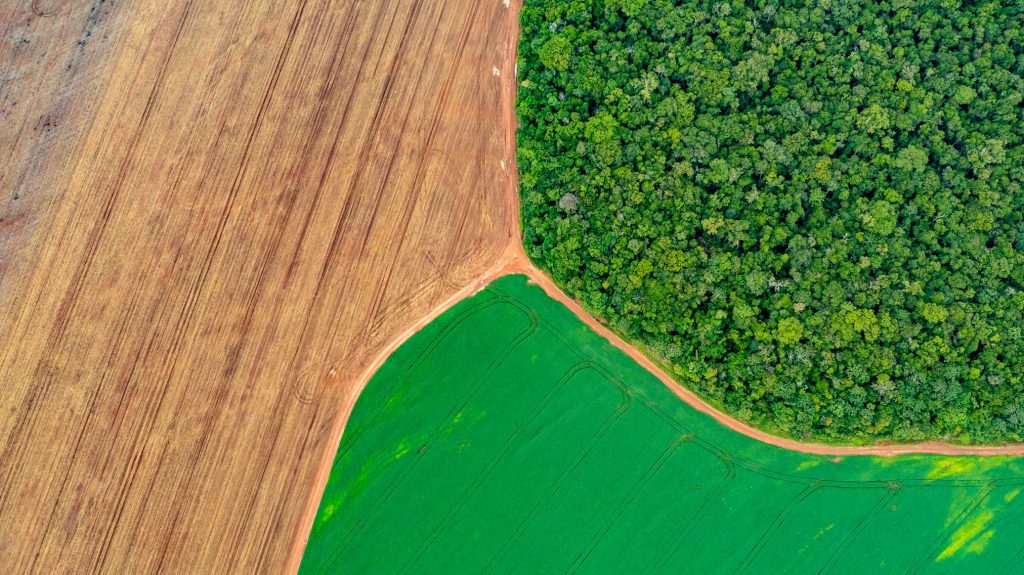 Sustainable agriculture won’t be delivered top down