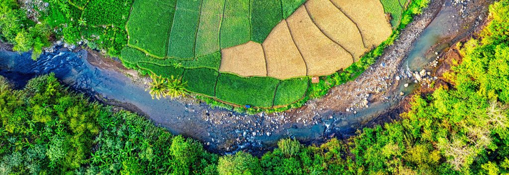 Operating at landscape level: Learning from ISEAL Innovations Fund projects