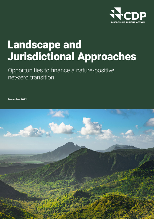 Landscape and Jurisdictional Approaches: Opportunities to Finance a Net-Zero Transition