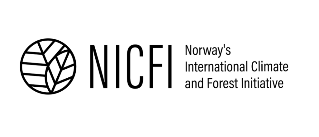 <strong>How Carbon Markets Done Right Help Stop Deforestation</strong>