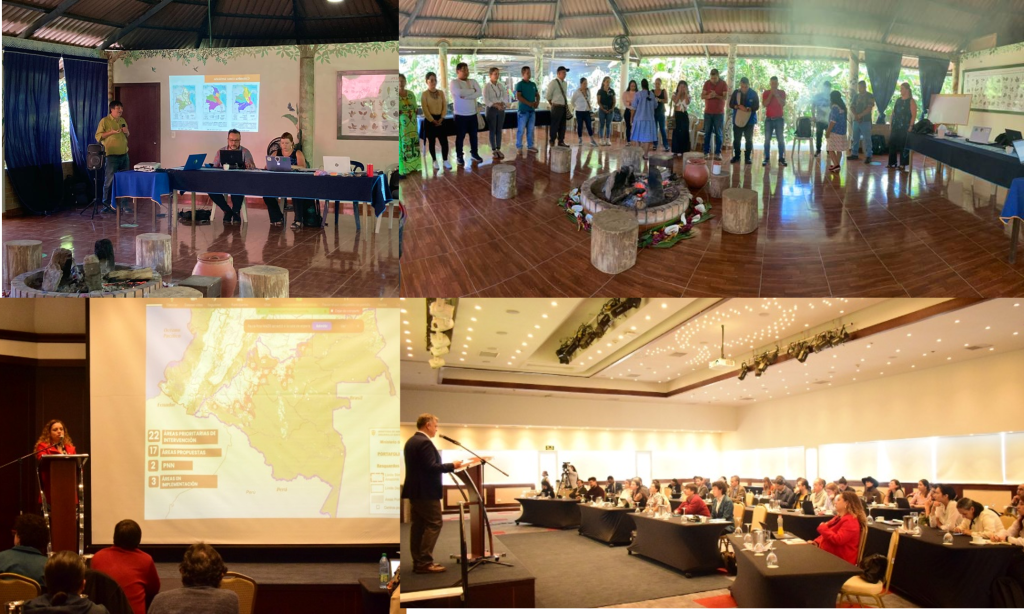 <strong>“Nothing About Us Without Us: The Case of JREDD+ in Colombia.” The Importance of Including All Stakeholders, Especially Affected Communities, at the Decision-Making Table.</strong>