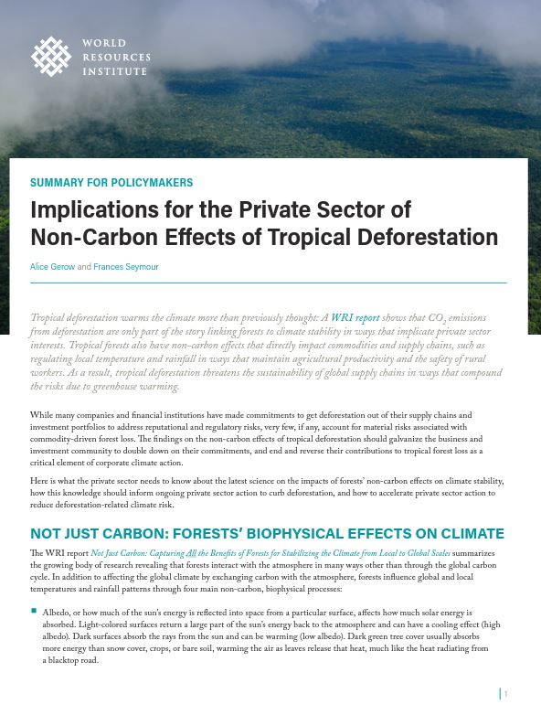 <strong>Implications for the Private Sector of Non-Carbon Effects of Tropical Deforestation</strong>