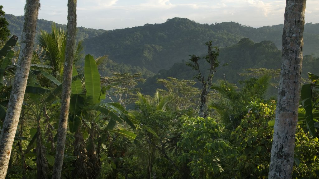 Collaboration is Key to Deliver on Nature and Biodiversity Goals