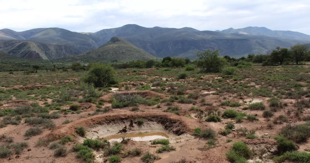 We Must Tackle Global Risks in an Integrated Way – Here’s How