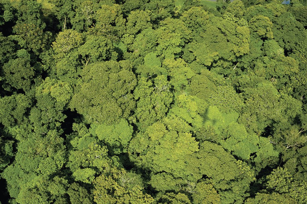 Republic of Congo: Addressing Climate Change and Building a More Resilient Economy