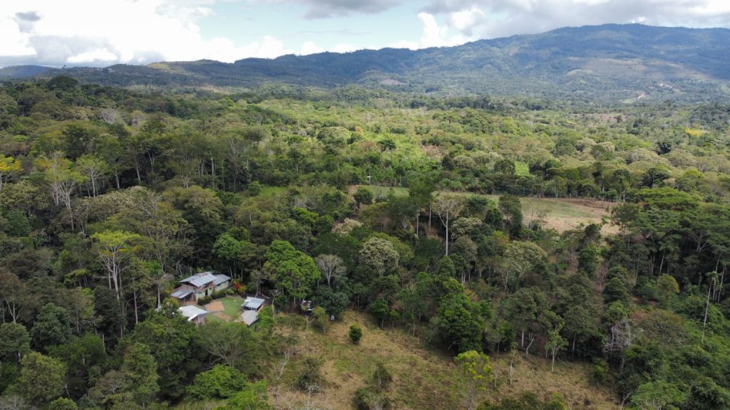 Helping Forests and Forest Communities to Thrive in San Martín, Peru