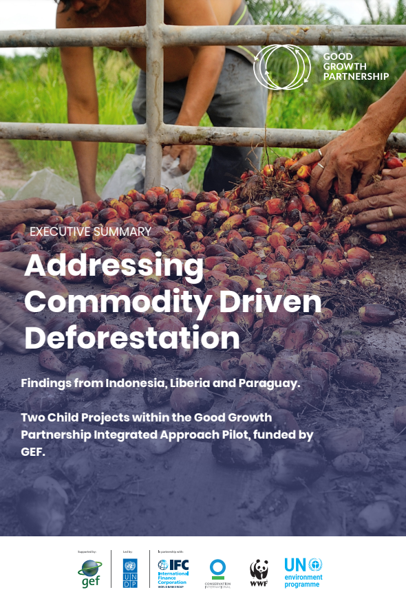 Addressing Commodity Driven Deforestation: Findings from the GGP Terminal Evaluation in Indonesia, Liberia and Paraguay