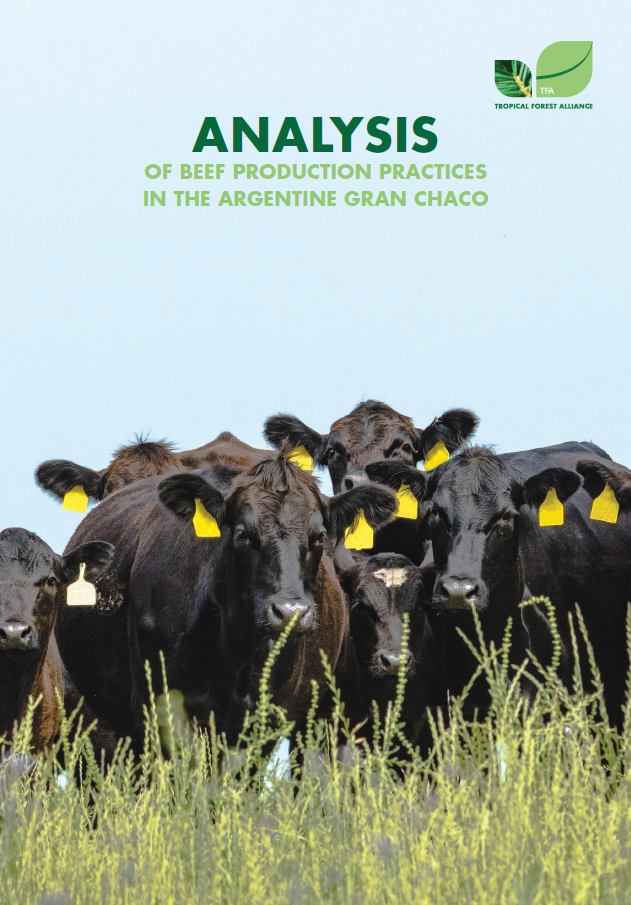 Analysis of Beef Production Practices in the Argentine Gran Chaco