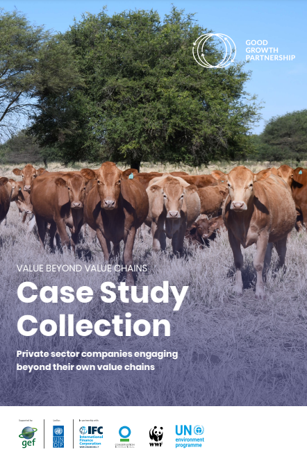 Value Beyond Value Chains: Case Study Collection Private Sector Companies Engaging Beyond Their Own Value Chains