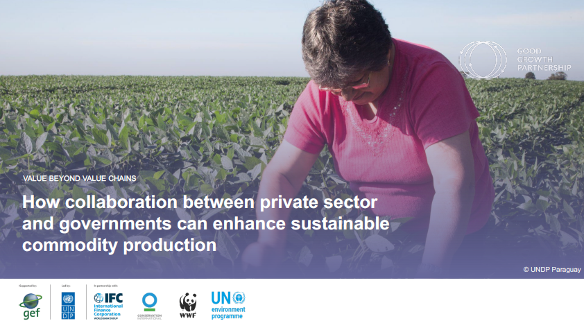 Value Beyond Value Chains: How Collaboration Between Private Sector and Governments can Enhance Sustainable Commodity Production