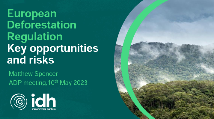 European Deforestation Regulation: Key Opportunities and Risks