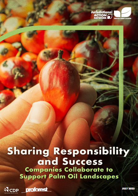 Sharing Responsibility and Success: Companies Collaborate to Support Palm Oil Landscapes