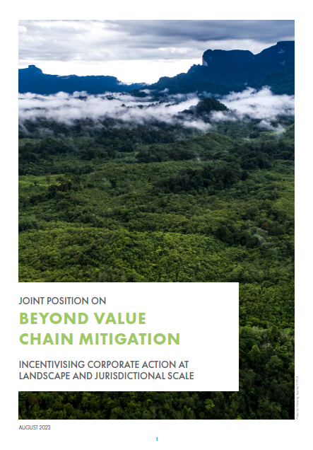 Joint Position on Beyond Value Chain Mitigation: Incentivising Corporate Action at Landscape and Jurisdictional Scale