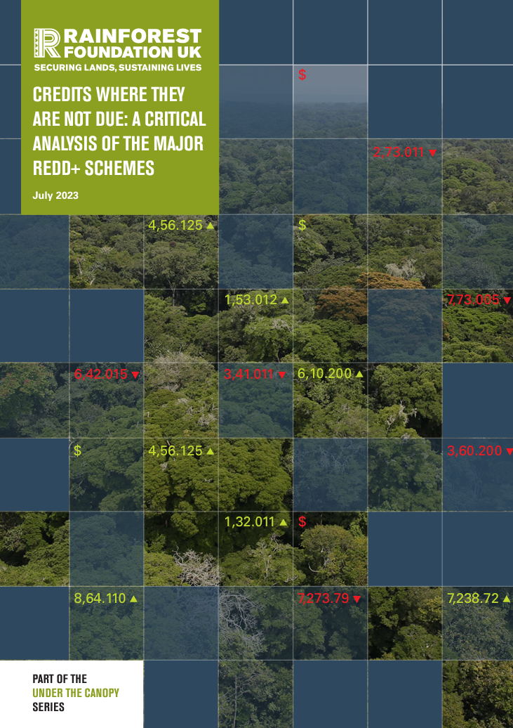 Credits Where They Are Not Due: A Critical Analysis of the Major REDD+ Schemes