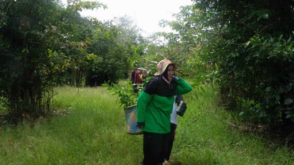 One year later: What we’ve learned as the ASD Impact Fund supports key palm-producing regions in Indonesia