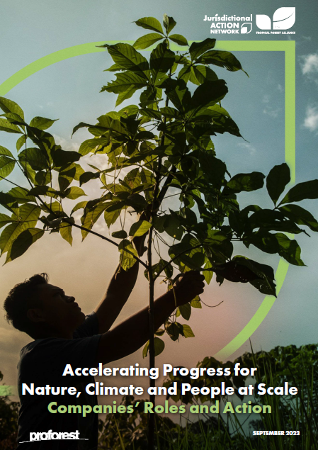 Accelerating Progress for Nature, Climate and People at Scale: Companies’ Roles and Action