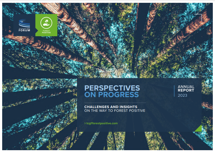 Perspectives on Progress: Annual Report 2023