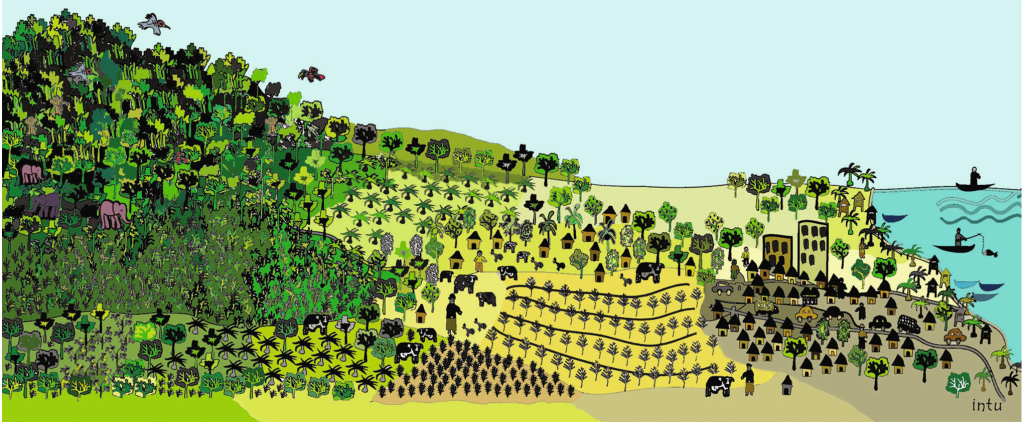How Do We Target Deforestation in Complex Settings?