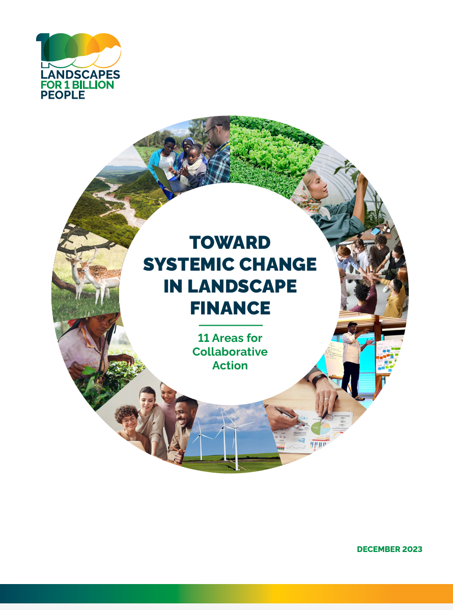 Toward Systemic Change in Landscape Finance: 11 Areas for Collaborative Action