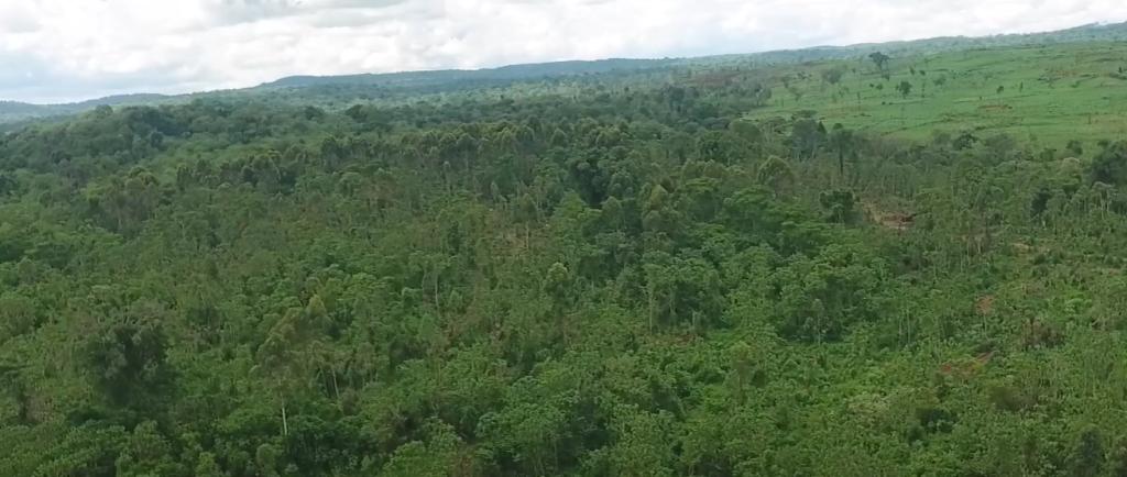 IDH Collaboration with Partners to Protect the Mau Forest (Kenya)