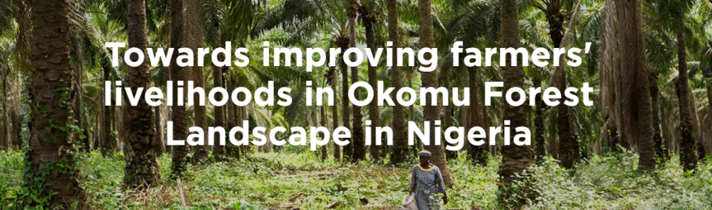 Towards Improving Farmers’ Livelihoods in Okomu Forest Landscape in Nigeria
