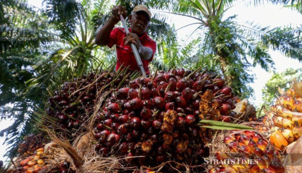 New Indicators for Sabah to Progress Towards Sustainable Palm Oil Development