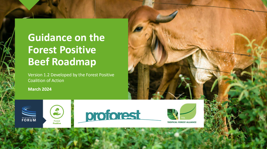 Guidance on the Forest Positive Beef Roadmap