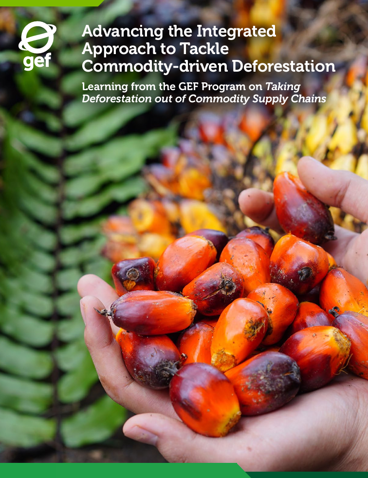 Advancing the Integrated Approach to Tackle Commodity-driven Deforestation