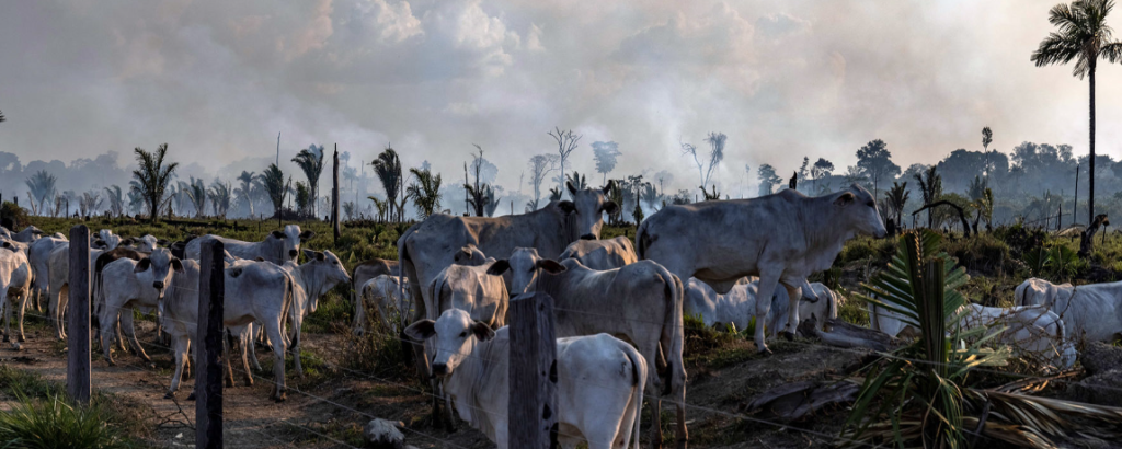 Traceability is No Silver Bullet for Reducing Deforestation