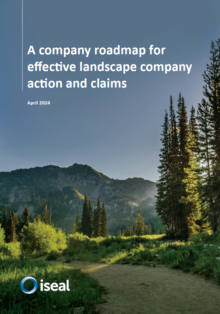 A Company Roadmap for Effective Company Landscape Action and Claims